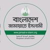 mdmahedihasan8193