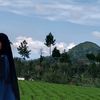 lauralutfia5