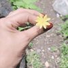 lareen_adnan