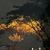 mieayamtulangrangu_1