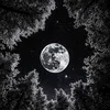 meioasp