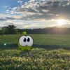 veronikss_538
