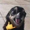 user275099131