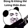 chonguoivotinh99