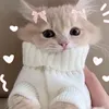 indie_abi56