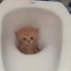 felix_77773