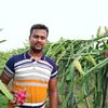 rouf.khan244