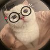littlefhasai