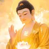 Học Tập Mỗi Ngày