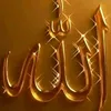 user8671018702735