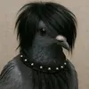 alahyaiko