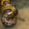 kiraelisa7