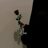 alnahr.alsafy8