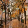 autumn.rain5