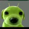 terry__que