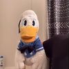 DonaldDucc Archive ✅