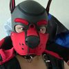 pup_v