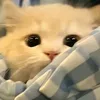 christophercapagsita0
