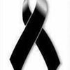 guillealonzo8