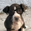 kev_07627