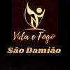 vidaefogosaodamiao