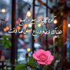 user8332361022847