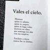 crisalida_19.82