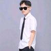 frd_al_frz