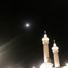 dilahalhamid