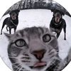 ilovecats_x1