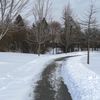 silverchov.steve