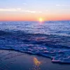 who_02513
