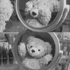 thao_25102012