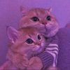 grishma__002