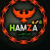 hamza.mushtaq499