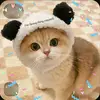 nhtht8