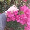 zahrazouzou97