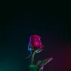 user51633212320055