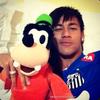 ney_fio10