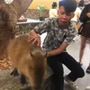 thanh_nhan010210