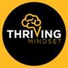 Thriving Mindset