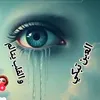 user2068129904730