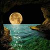 riiwa.youssef