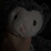 rylie.superpriv