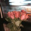 la.princesse179