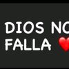 darys.s.c