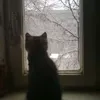 jsxtp_02