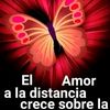 leticialeal728