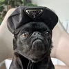 TheFizzyCola