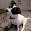 22553344nathan